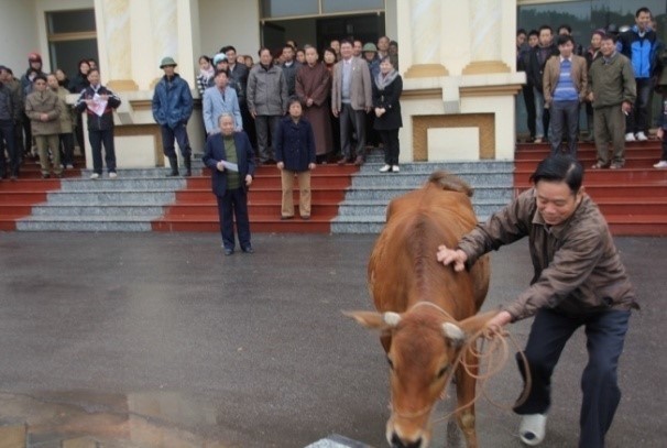 Chương trình tặng quà và bò giống cho nạn nhân chất độc da cam huyện Yên Dũng, Bắc Giang 2